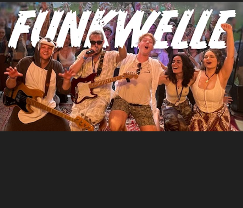 Funkwelle